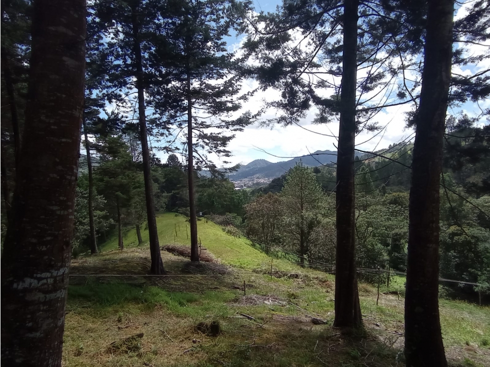 Lote en Venta en Parcelación El Retiro Sector Paso del Toro — foto 5