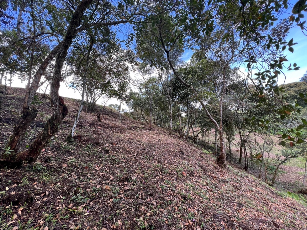 Lote en Venta 3.340 m2 por $430.000.000 Aguas Claras Carmen De Viboral — foto 4