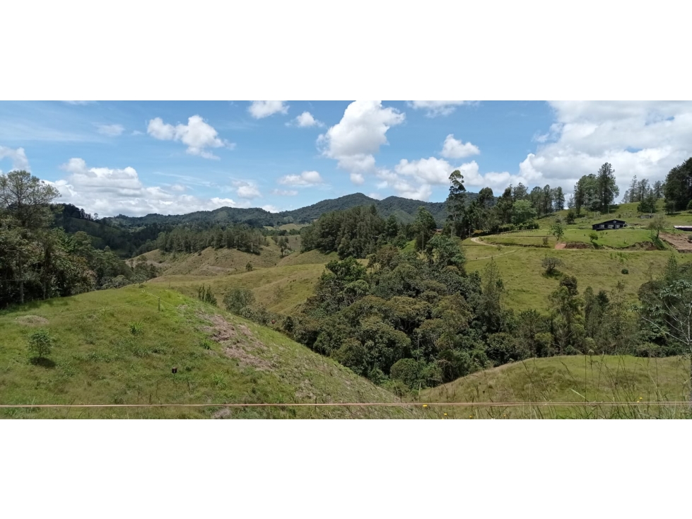 Lote en Venta Parcelación Nueva, Sector Pantanillo el Retiro — foto 2