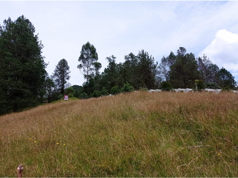 Venta Lote en Hermosa Parcelación en el Retiro,Sector Pantanillo