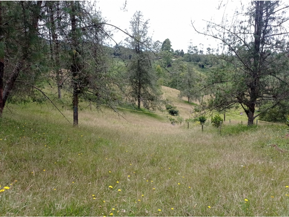 Lote en Venta en Hermosa Parcelación en el Retiro, Sector Pantanillo — foto 4