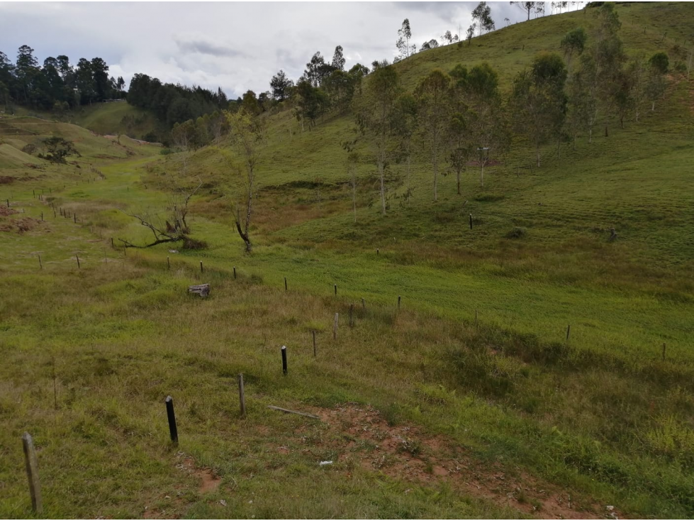 VENTA DE LOTE CON AREA DE 2150 MT2 SAN VICENTE SECTOR CHAPARRAL — foto 2