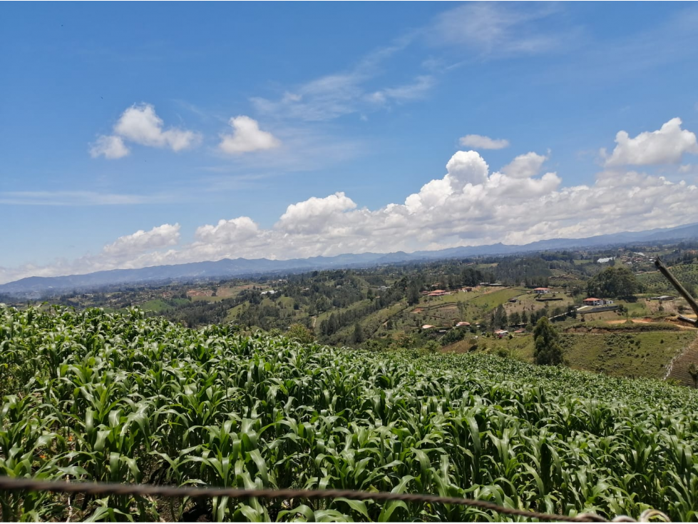 Venta de Lote san Vicente - Sector las hojas