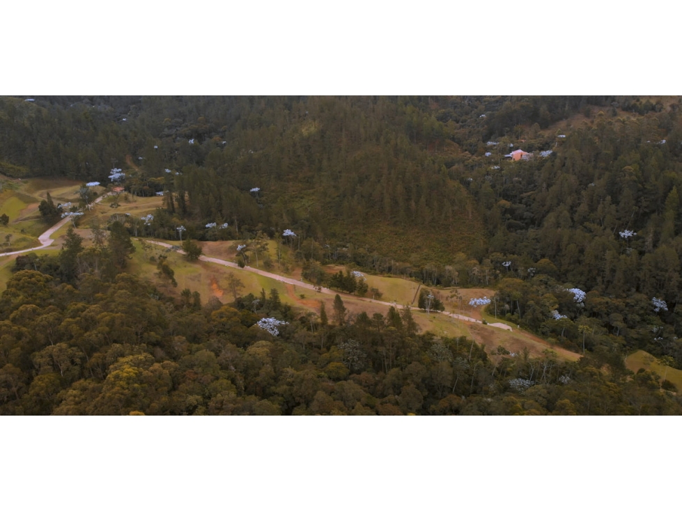Venta de lote en el Retiro Antioquia - Juanito Laguna — foto 2