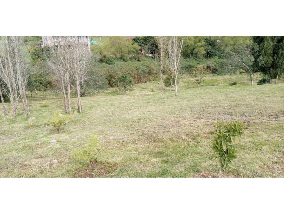Lote en Venta La Acuarela, Alto de Palmas - Envigado — foto 3