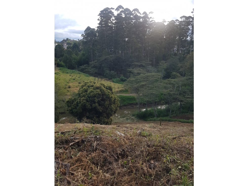 Lote en Venta Cascajo Abajo - Marinilla — foto 2