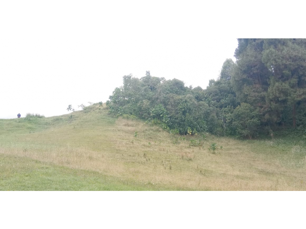 Lote en Venta Sector Indiana - Hacienda Arrayanes — foto 2