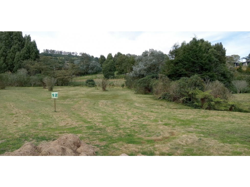 Lote en Venta Sector La Acuarela - Alto de Palmas en Envigado — foto 2