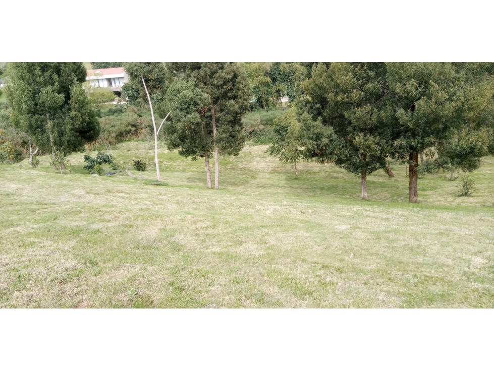 Lote en Venta Sector La Acuarela, Alto de Palmas - Envigado — foto 2