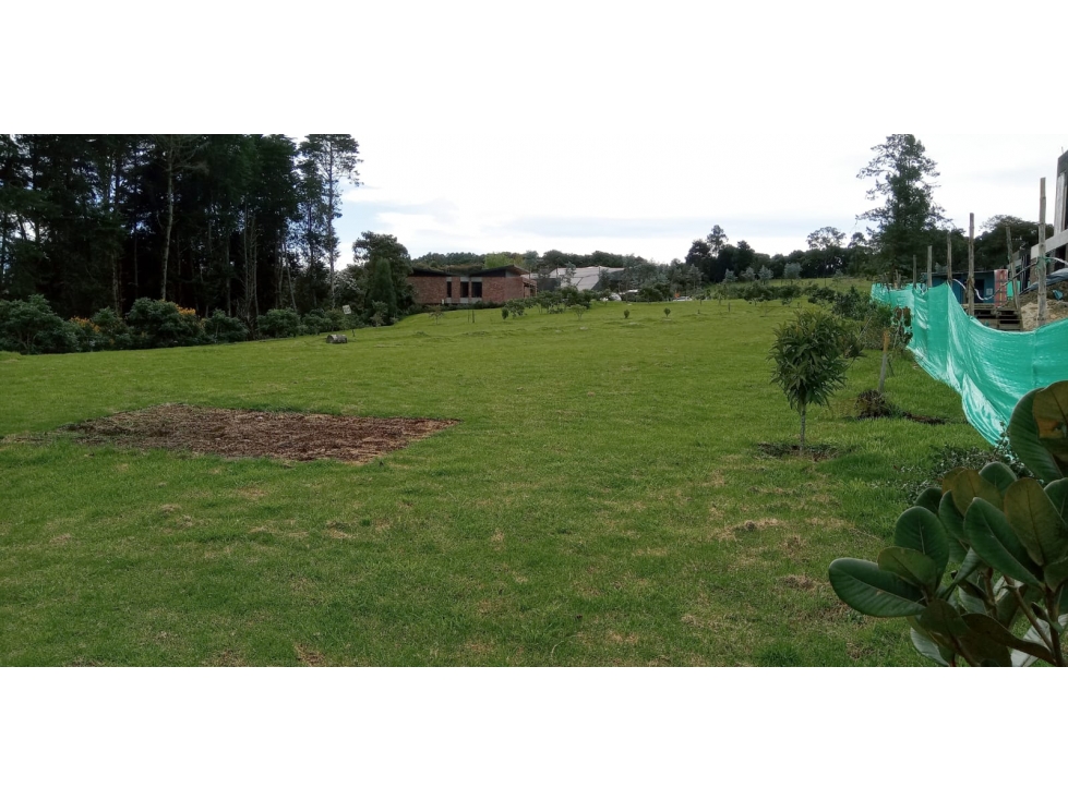 Lote en Venta Sector La Acuarela - Alto de Palmas en Envigado — foto 3