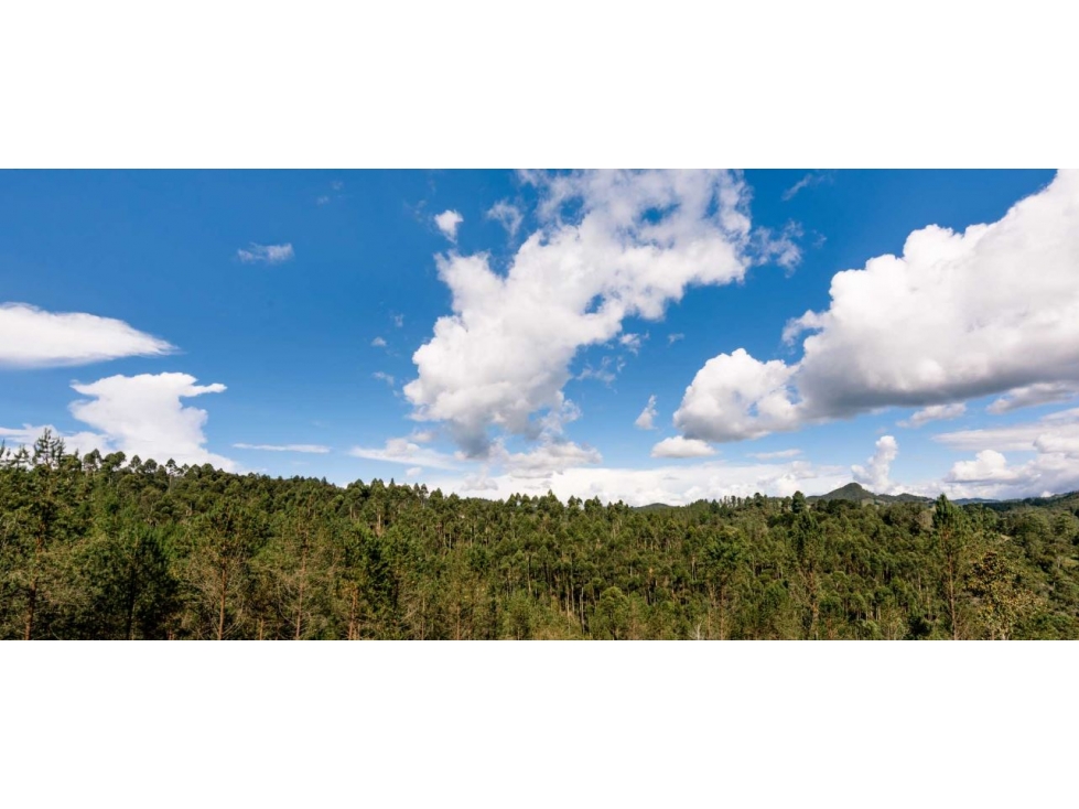 Hermoso Lote en Venta Sector Tequendamita - El Retiro — foto 2