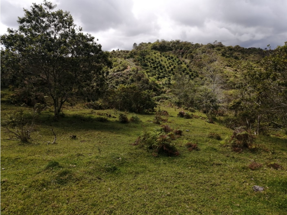 Lote en Venta Sector El Porvenir - San Vicente — foto 3