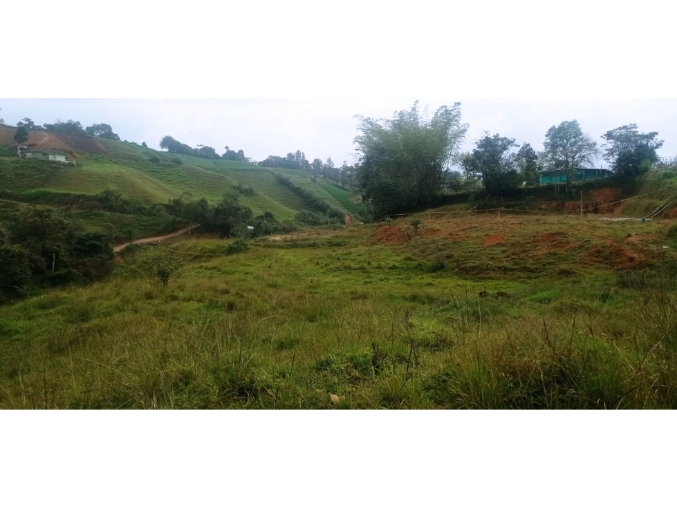 Hermoso Lote en Venta Sector Vereda el Morillo - Santuario — foto 3