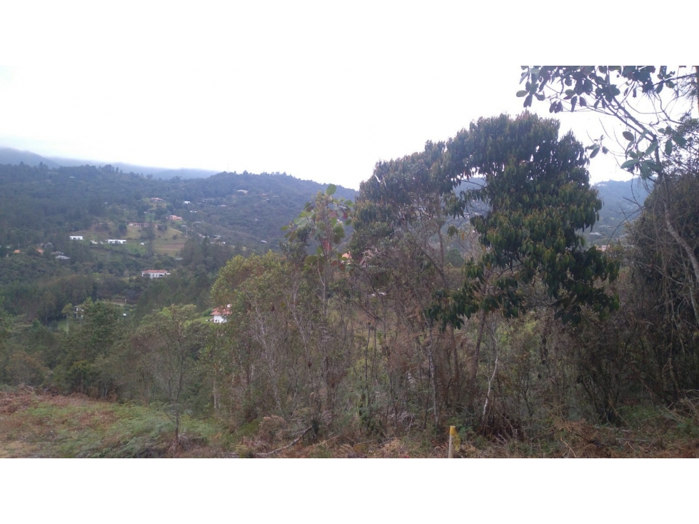 Lote en Venta Sector Vermont El Retiro — foto 4