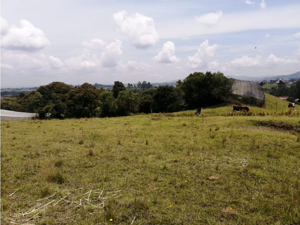 Lote en Venta Sector El Cerro Carmen de Viboral — foto 2