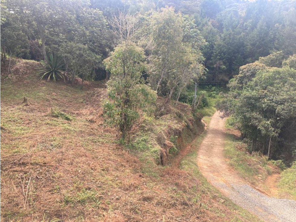 Lote Independiente en Venta Guarne, Vereda la Honda — foto 2