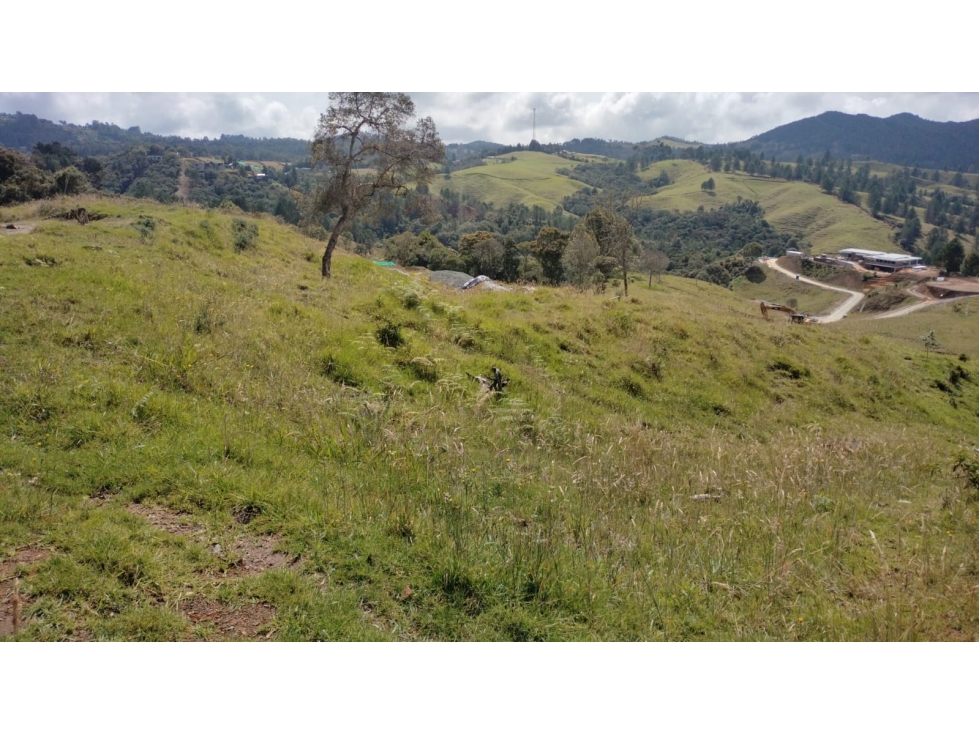 Lote en Refugio Natural Sector Alto de las Palmas, Envigado — foto 2