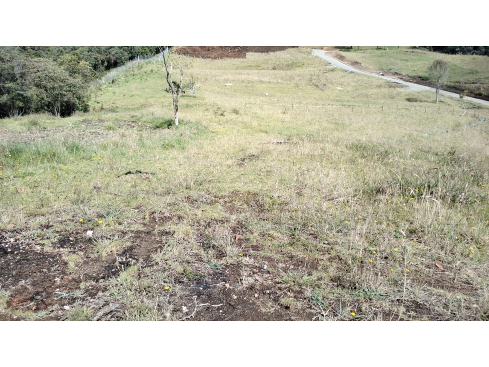 Lote en Exclusivo Sector en Alto de Palmas, Envigado — foto 2