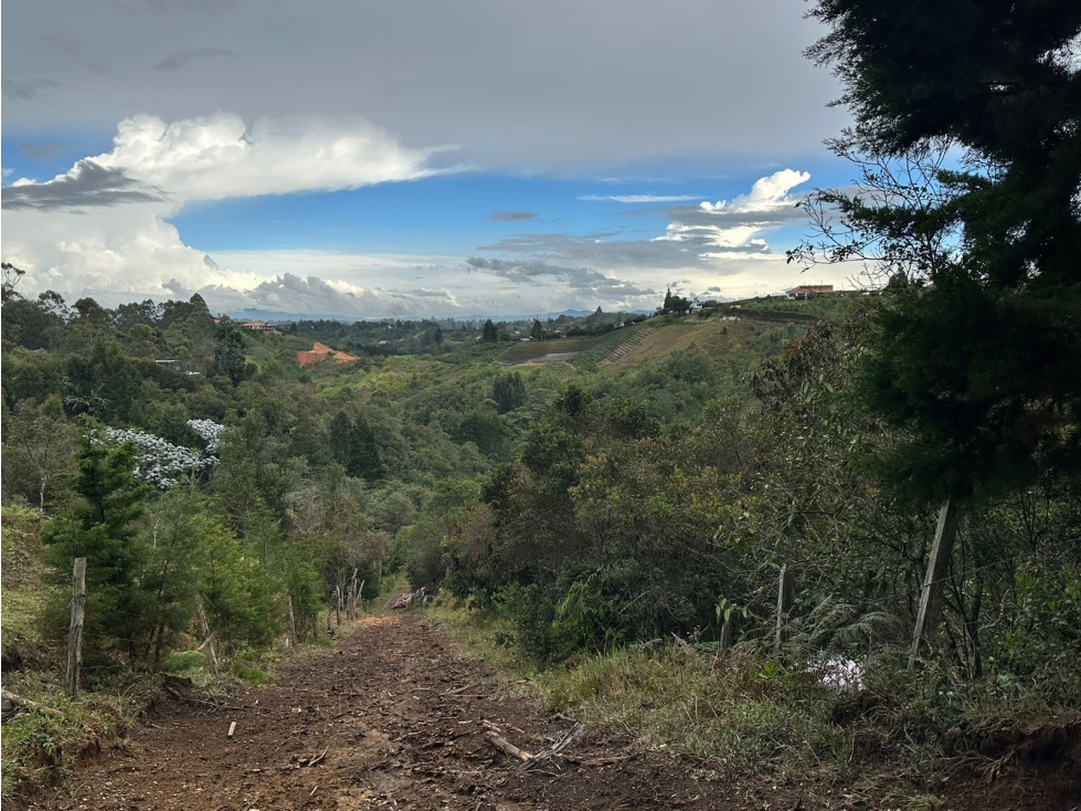 Lote Urbano Sector Centro Plaza Los Rincón Hurtado, Guarne — foto 3