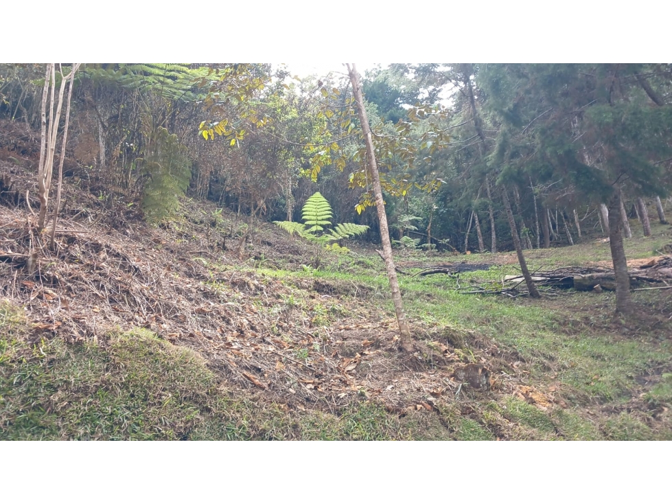 Lote Campestre en Puente Pelaez en el Retiro Antioquia — foto 2
