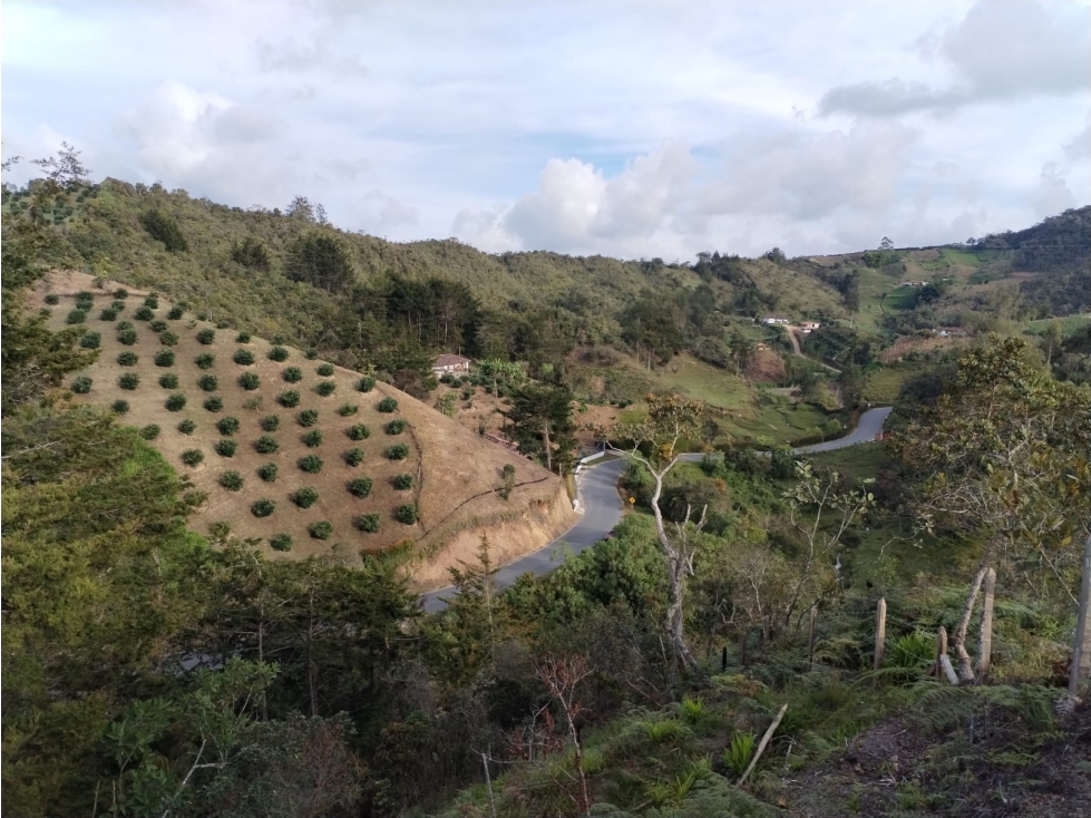 Lote con Hermoso Entorno Natural en Venta en San Vicente — foto 2
