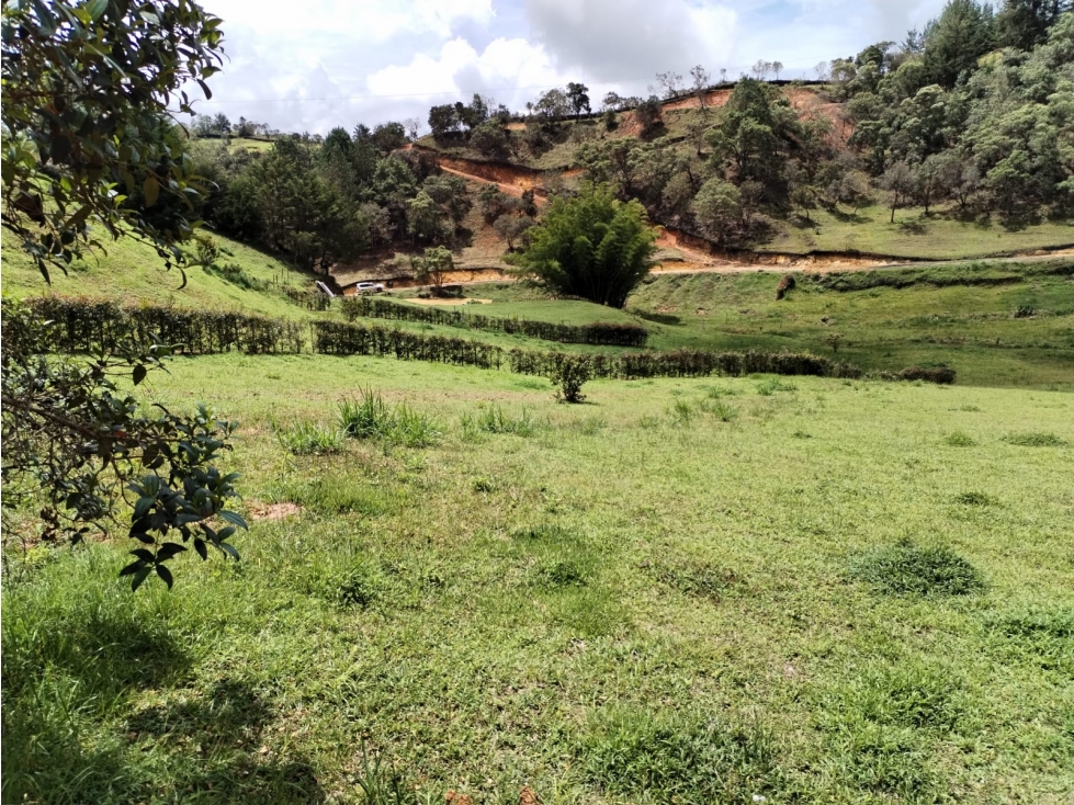 Lote en Venta en Parcelación Campestre en San Vicente — foto 2