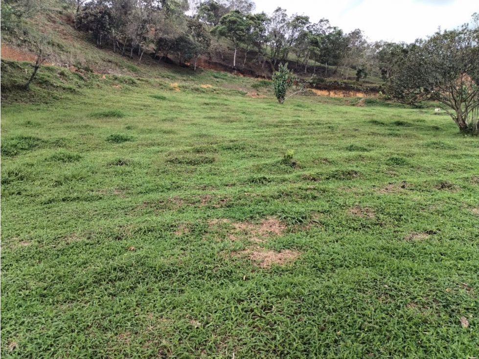 Lote Campestre en Venta Sector San Ignacio en San Vicente — foto 2