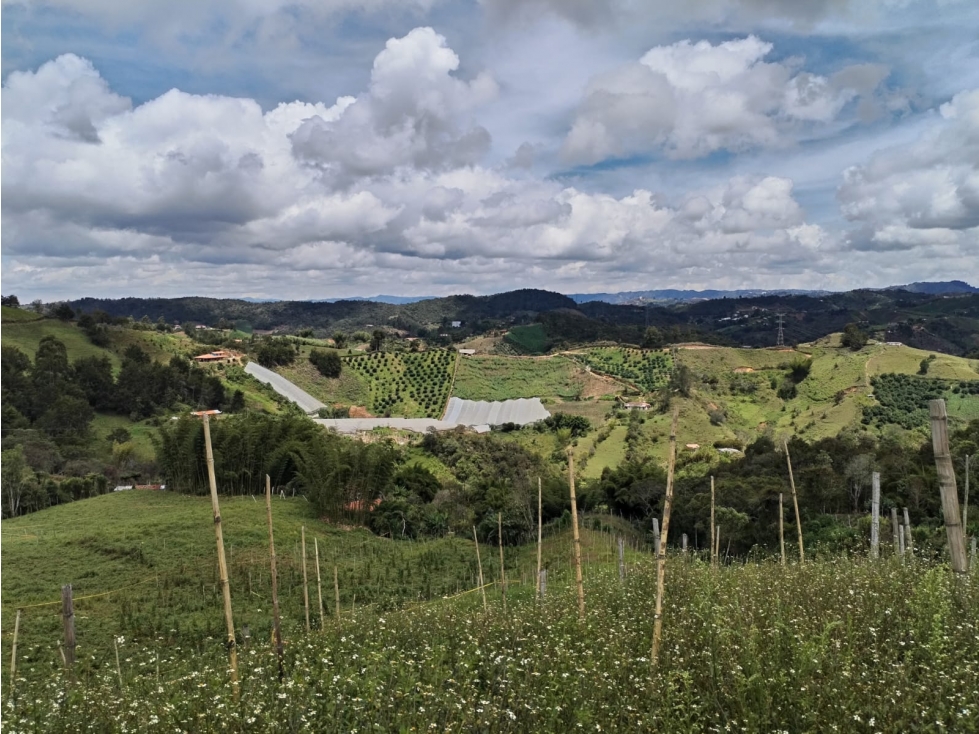 Lote en Venta, Sector la Floresta en San Vicente Ferrer — foto 2