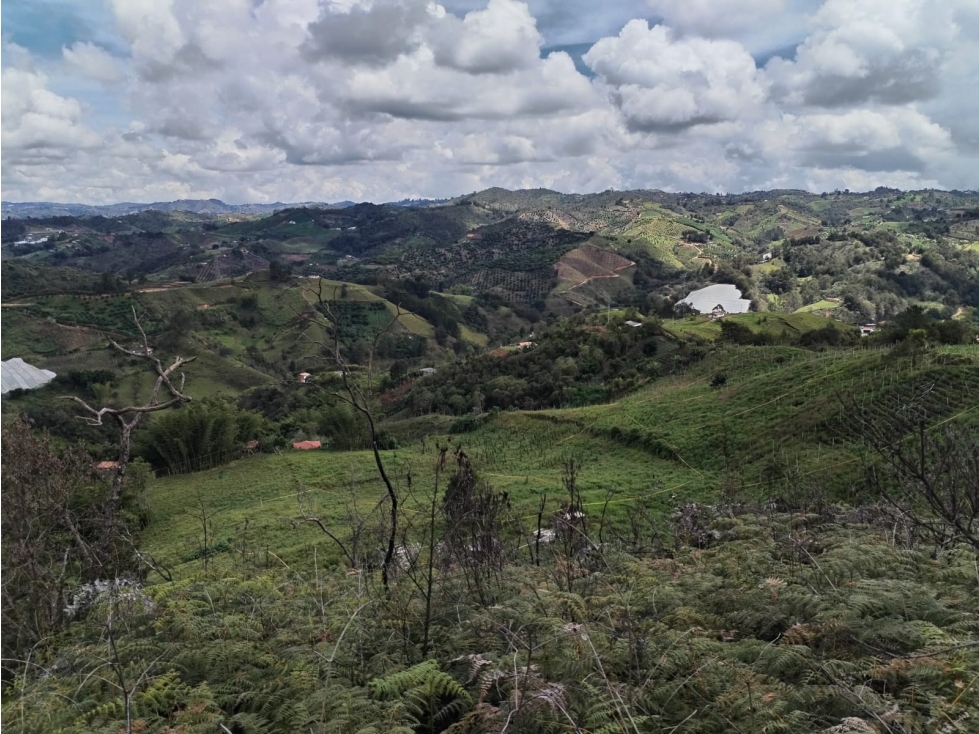 Lote en Venta en Zona Campestre, Sector la Floresta en San Vicente — foto 2