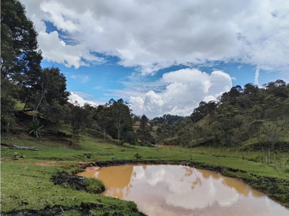 Lote en Venta Sector Vereda San Ignacio, San Vicente Ferrer — foto 2