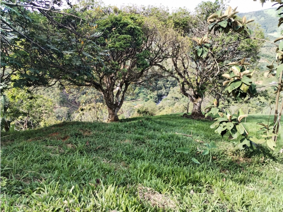 ¡Excelente Oportunidad! Lote en Venta Sector Los Cedros, CocornÃ¡