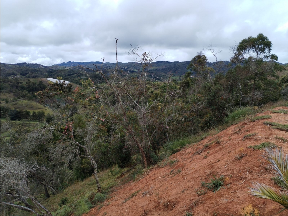 Lote en Venta Sector Vereda La Enea, San Vicente — foto 2