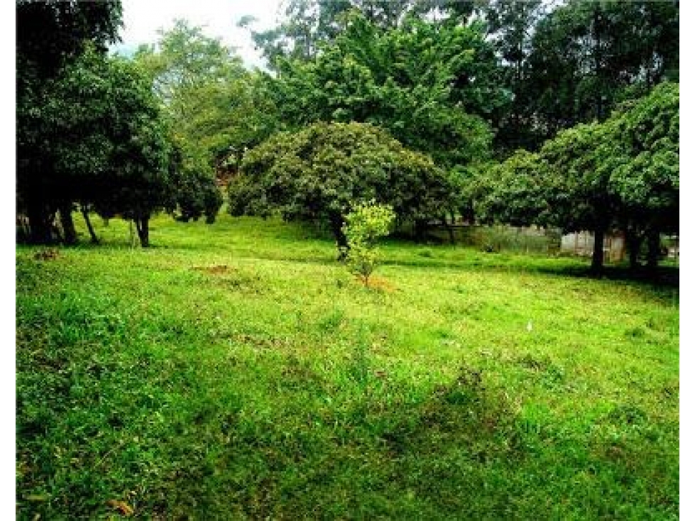 Lote en Venta Sector El Alvarado Copacabana — foto 2