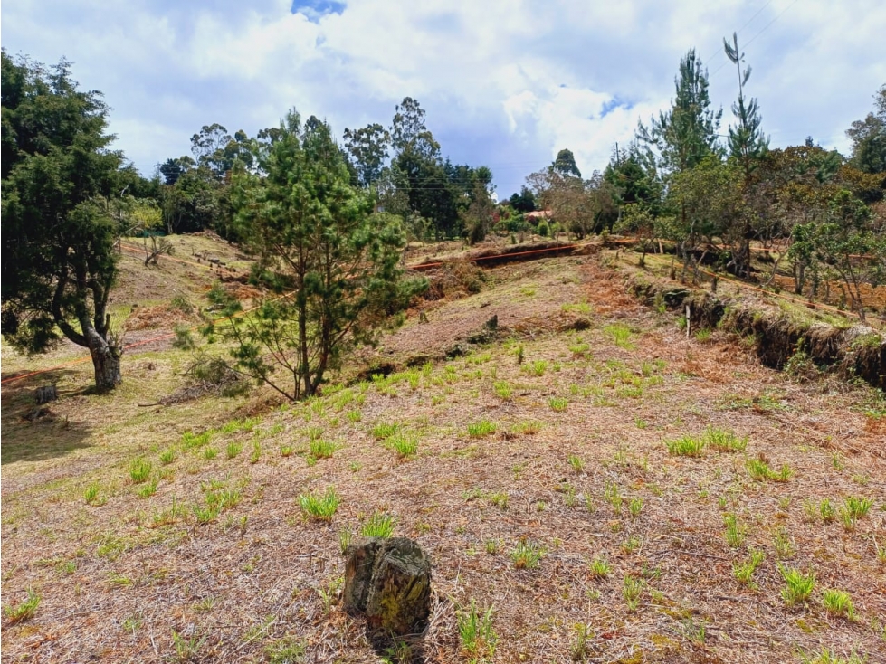 Lote en Venta Sector Piedras Blancas, Guarne — foto 2
