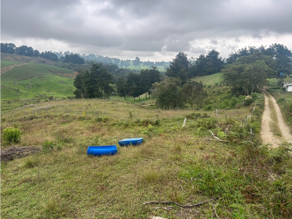 Lote en Venta Vereda el Espinal, San Pedro de Los Milagros — foto 2