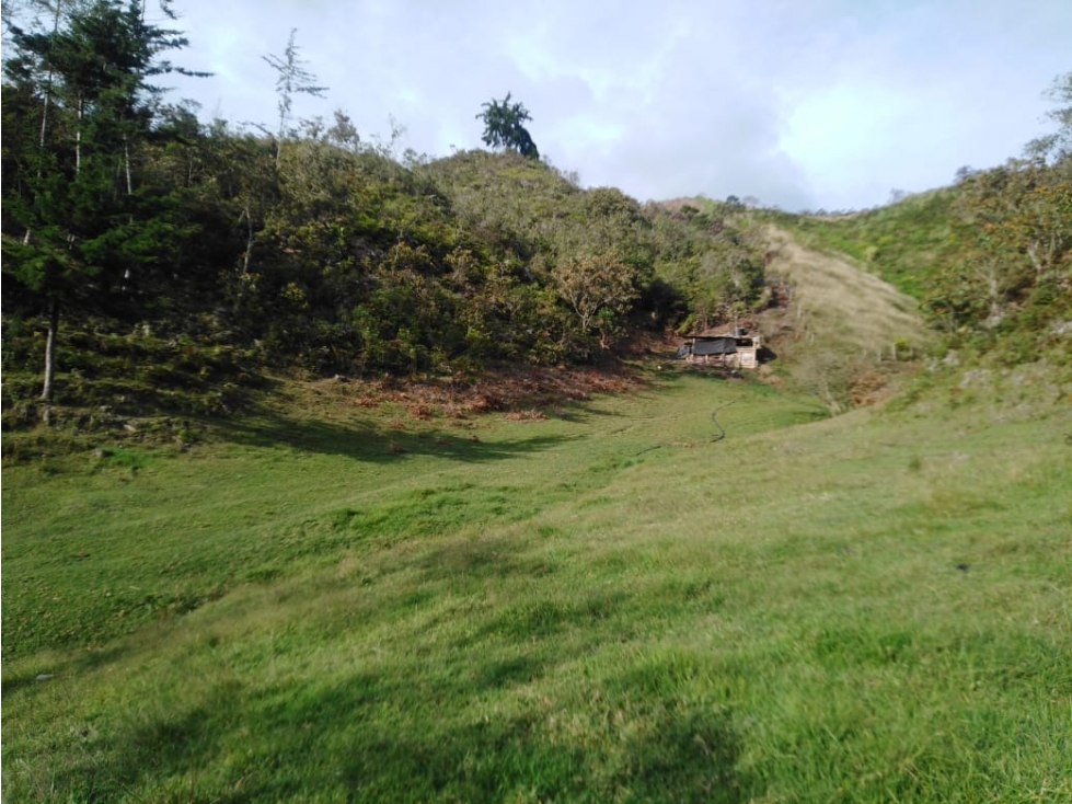 Casa Lote en Venta, Vereda Yolombal, Guarne — foto 2