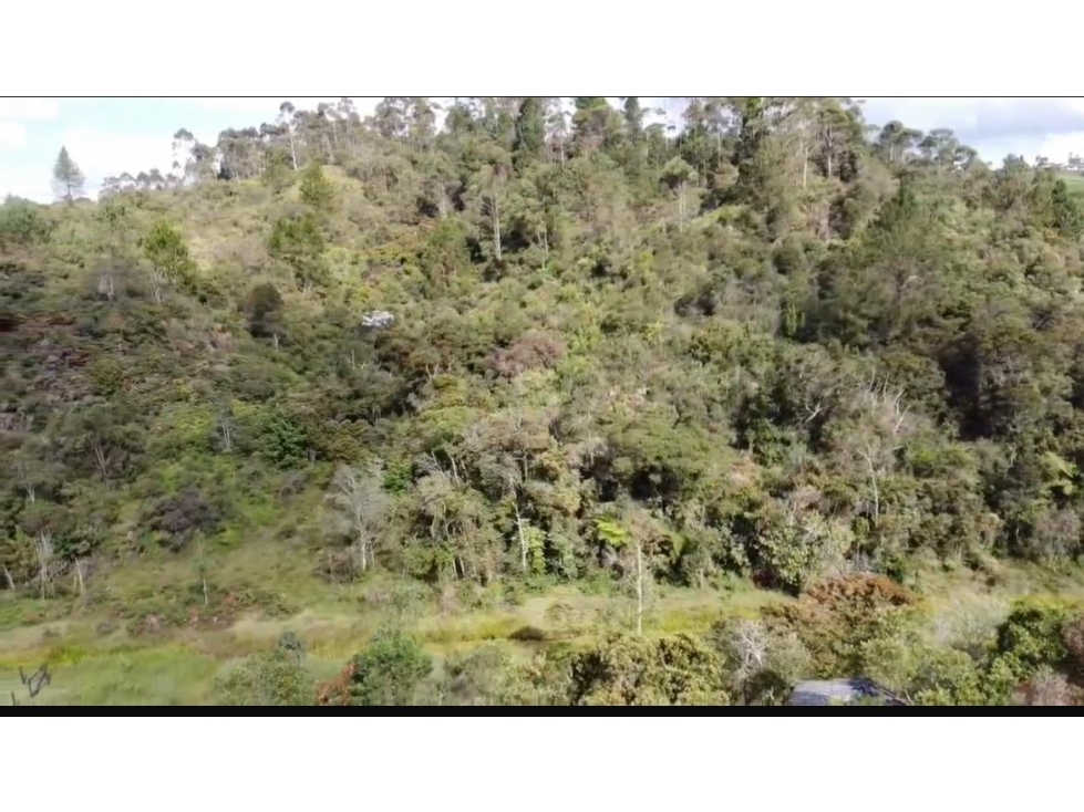 Lote en Venta en Parcelacion, Vereda La Mosquita, Guarne — foto 2