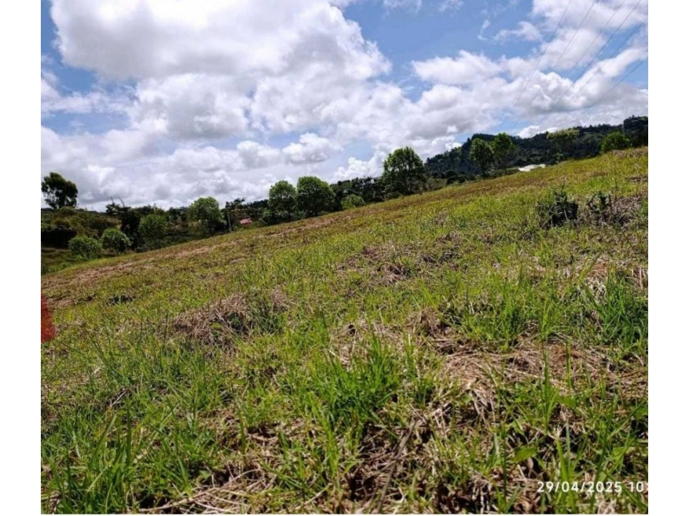 Lote en venta, vereda Chaparral sector Morales San Vicente — foto 2
