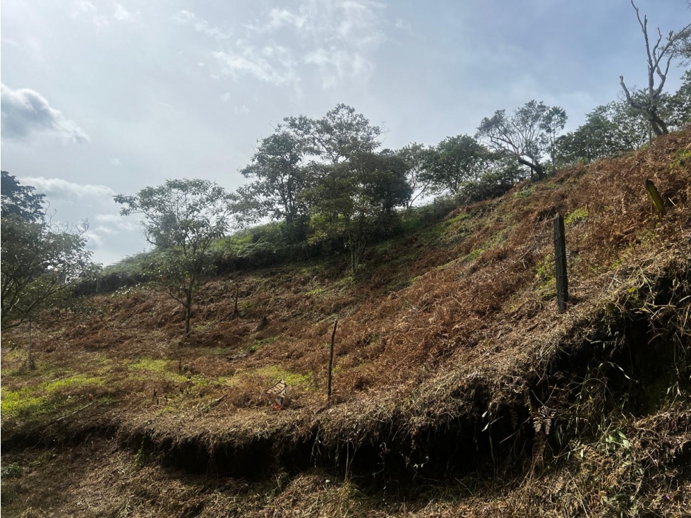 Lote en venta, sector San Joaquín, Ojo de Agua, Rionegro — foto 2