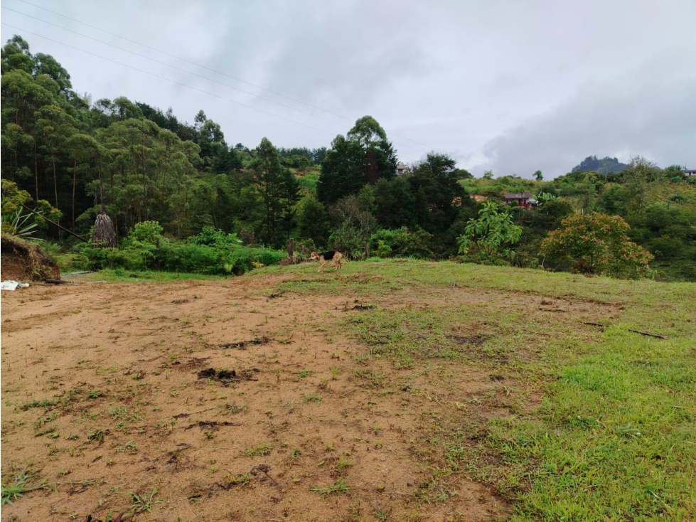 Hermoso lote en venta en Peñolcito, vía al embalse de El Peñol — foto 2