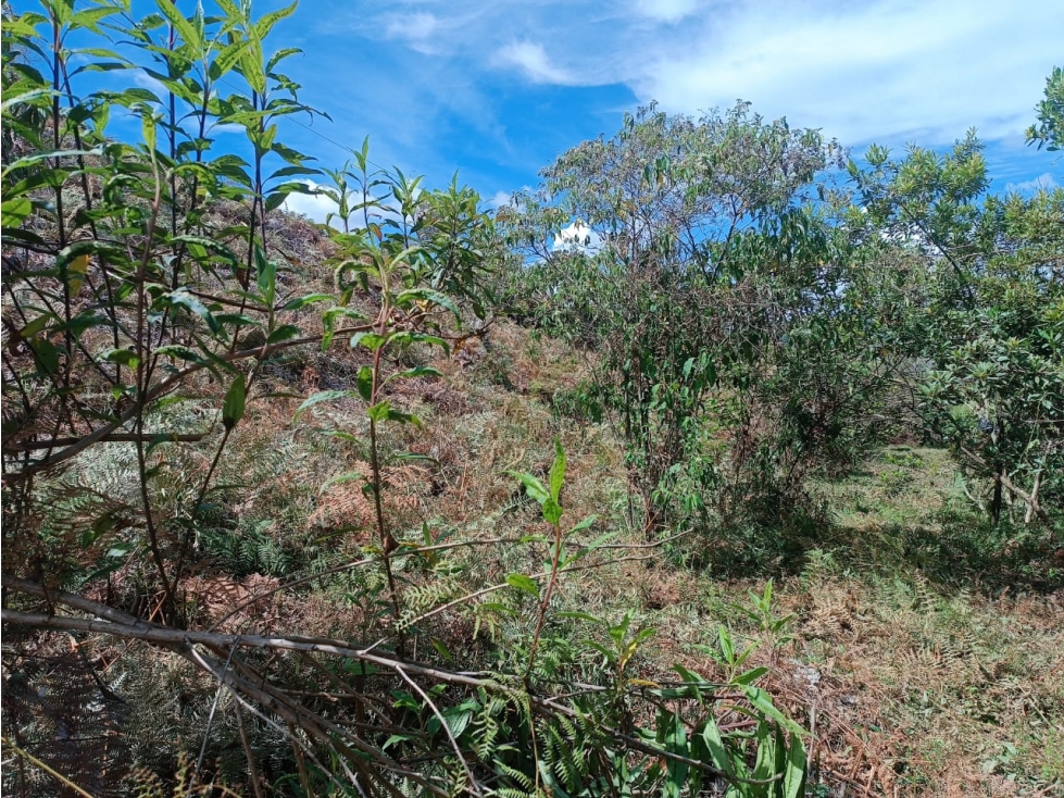 Lote en venta, vereda El Porvenir, San Vicente — foto 2