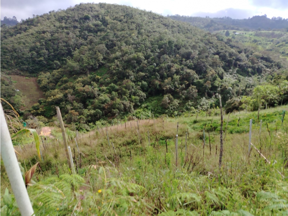 Lote en venta, sector Guaciru, San Vicente — foto 2