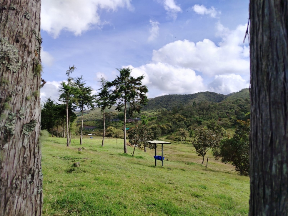 Lote en venta, sector La Magdalena, San Vicente — foto 2