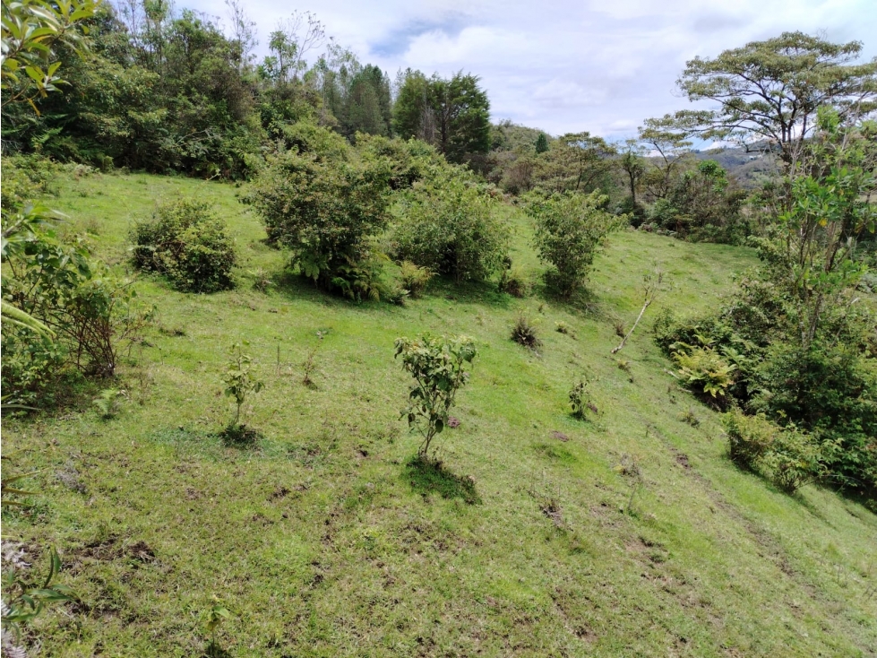 Casa lote en venta, sector La Magdalena, San Vicente — foto 2