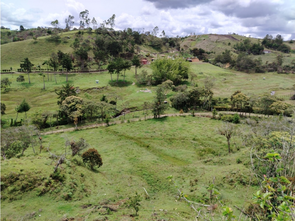 Lote en venta, sector La Magdalena, San Vicente — foto 2