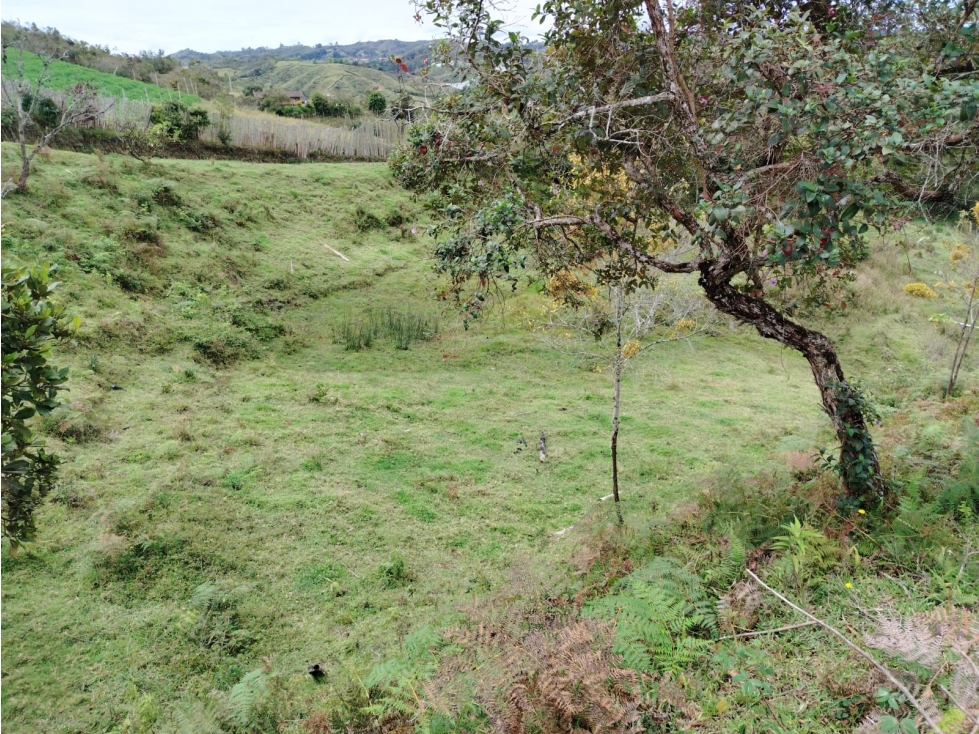 Lote con hermosa vista y agua natural en La Magdalena, San Vicente — foto 2