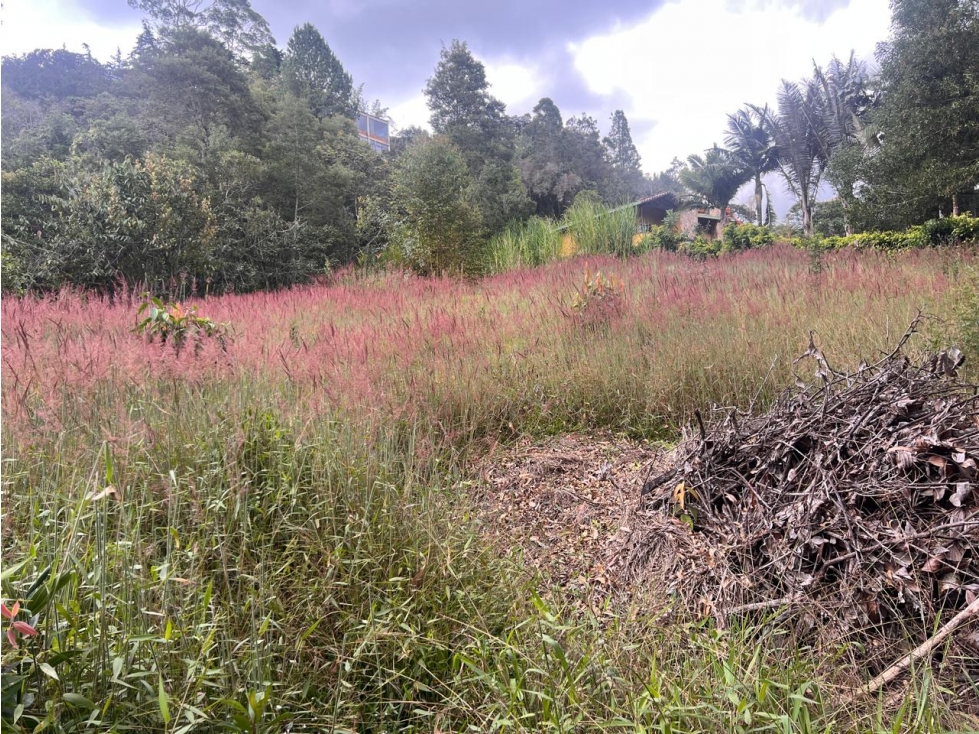 Lote con vista al Valle de San Nicolás, cerca al aeropuerto — foto 2