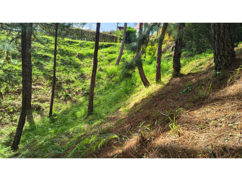 Lote en venta, vereda San Antonio sector Campo Alegre, San Vicente — foto 3