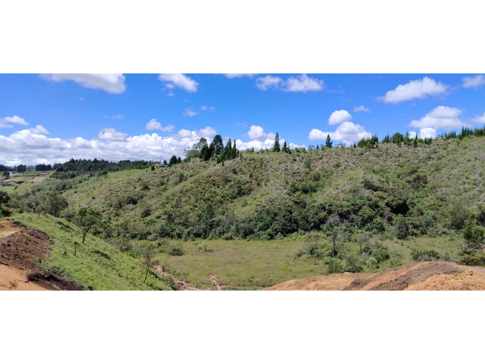 Lote en venta, sector Hojas Anchas, Guarne — foto 2