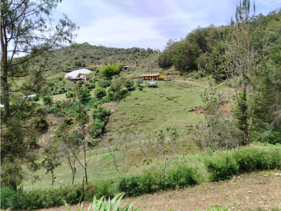 Finca en venta, sector Santa Ana, San Vicente — foto 2